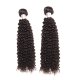 8A 2 Bundles Brazilian Kinky Curly Virgin Human Remy Hair Weave