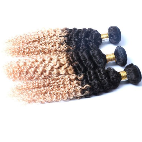 3 Bundles 1B/27 Ombre Brazilian Deep Curly Human Remy Hair Weave