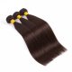 3 Bundles Dyed Brazilian Straight Hair Extensions #2 Color