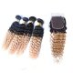 4 Bundles 1B/27 Ombre Brazilian Deep Curly Human Remy Hair Weave With 4x4 Lace Closure