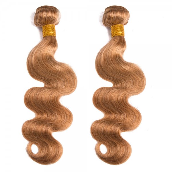 2 Bundles Dyed Brazilian Body Wave Hair Extensions #27 Color