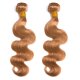 2 Bundles Dyed Brazilian Body Wave Hair Extensions #27 Color