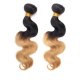 2 Bundles 1B/27 Ombre Brazilian Body Wave Human Remy Hair Weave