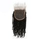 7A 4x4 Lace Closure Deep Curly 100% Human Virgin Brazilian Remy Hair