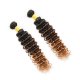 2 Bundles 1B/27 Ombre Brazilian Deep Wave Human Remy Hair Weave